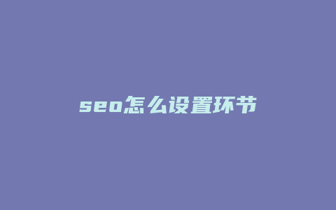 seo怎么设置环节