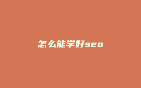 怎么能学好seo