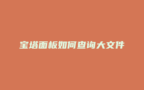 宝塔面板如何查询大文件