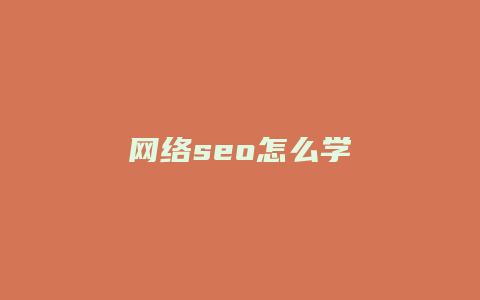 网络seo怎么学