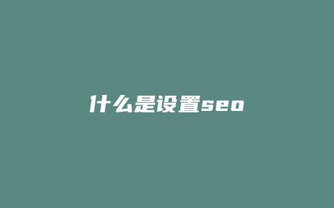 什么是设置seo