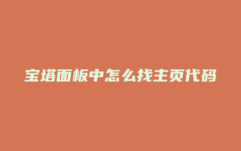 宝塔面板中怎么找主页代码