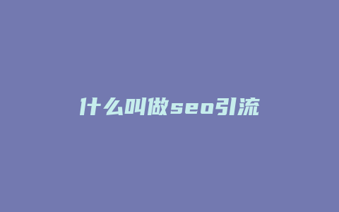 什么叫做seo引流