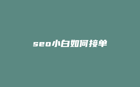 seo小白如何接单