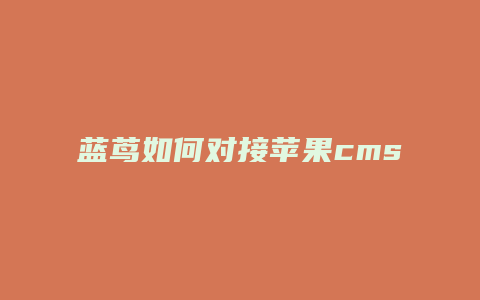 蓝茑如何对接苹果cms