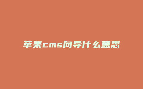 苹果cms向导什么意思