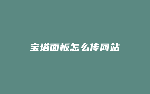 宝塔面板怎么传网站