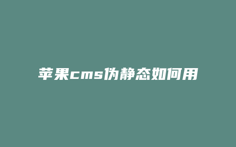 苹果cms伪静态如何用