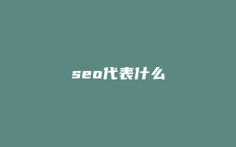 seo代表什么