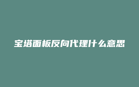 宝塔面板反向代理什么意思