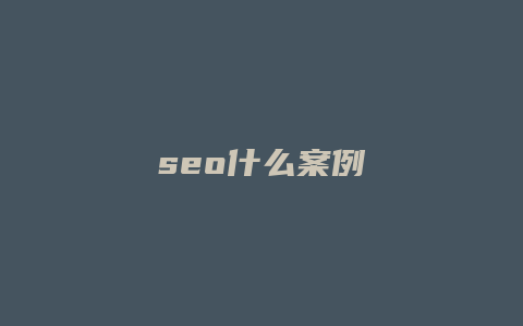 seo什么案例