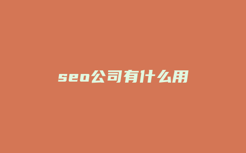 seo公司有什么用