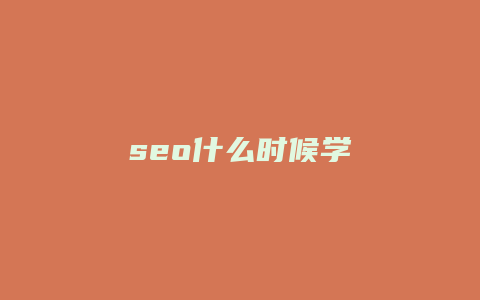 seo什么时候学