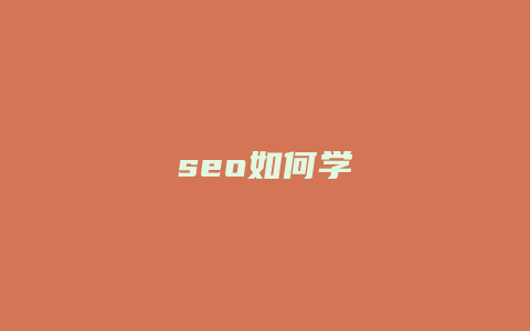 seo如何学