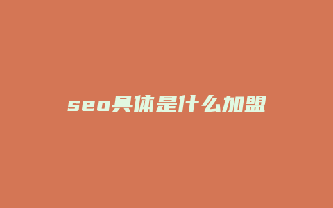 seo具体是什么加盟