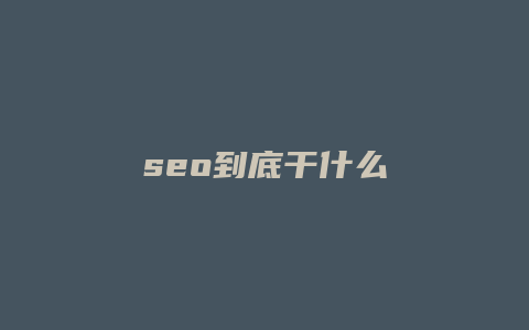 seo到底干什么