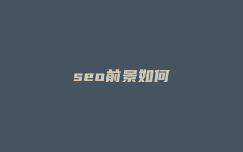 seo前景如何