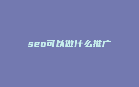 seo可以做什么推广