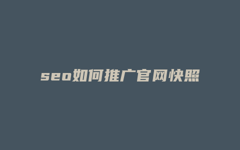 seo如何推广官网快照