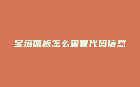 宝塔面板怎么查看代码信息