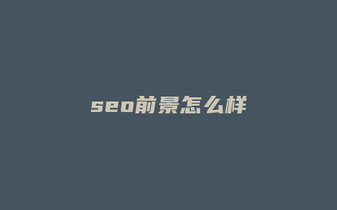 seo前景怎么样