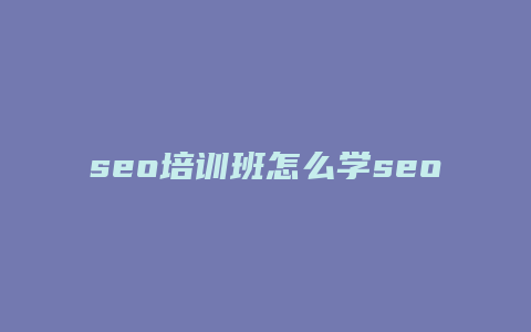 seo培训班怎么学seo