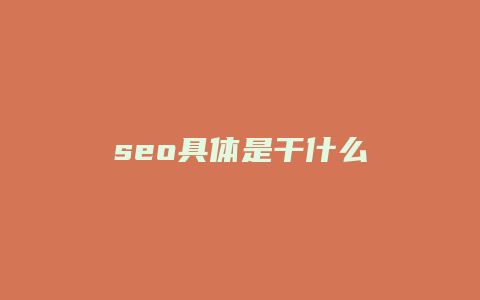 seo具体是干什么