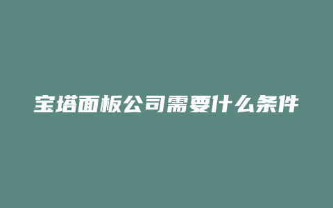 宝塔面板公司需要什么条件