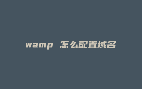 wamp 怎么配置域名