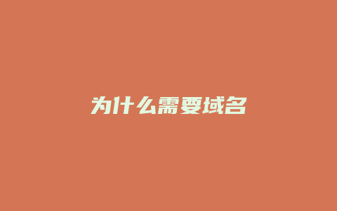 为什么需要域名