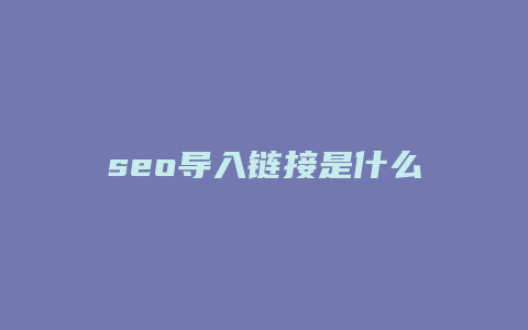 seo导入链接是什么