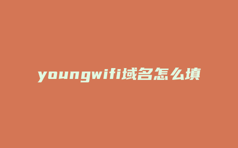 youngwifi域名怎么填