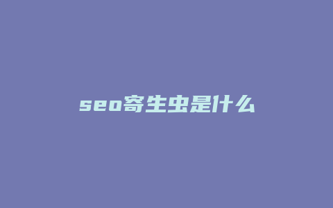 seo寄生虫是什么