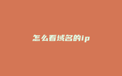 怎么看域名的ip