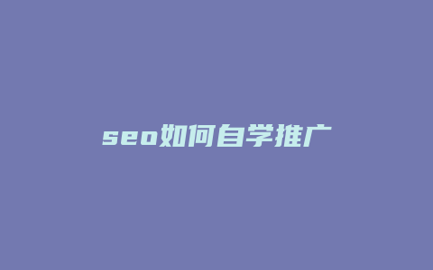 seo如何自学推广