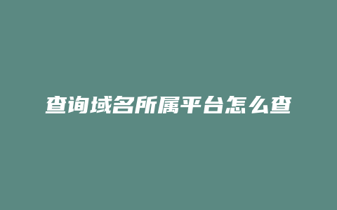 查询域名所属平台怎么查