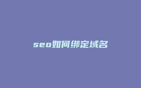 seo如何绑定域名