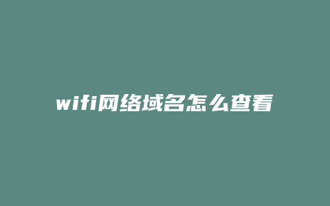 wifi网络域名怎么查看