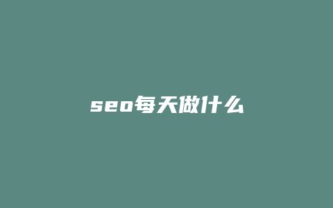 seo每天做什么