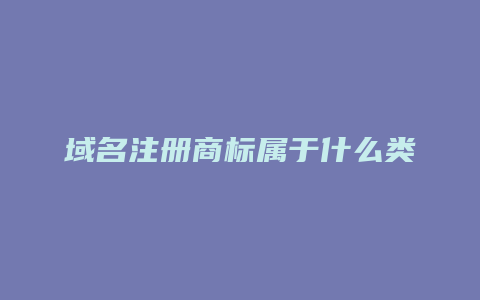 域名注册商标属于什么类