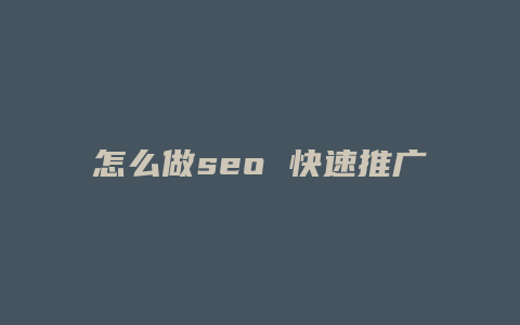 怎么做seo 快速推广