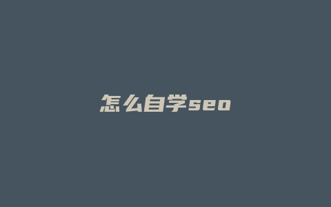 怎么自学seo