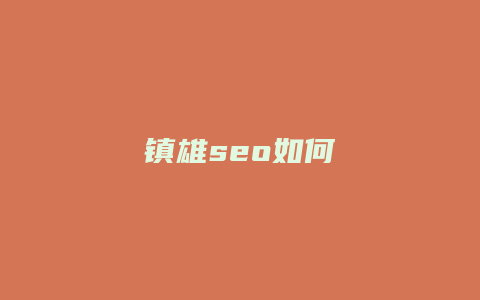 镇雄seo如何