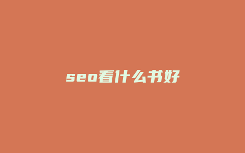 seo看什么书好