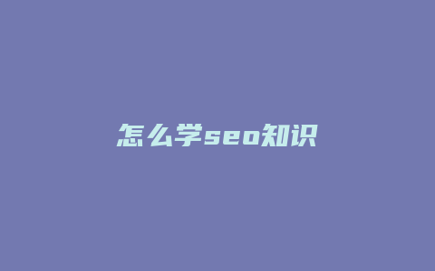 怎么学seo知识