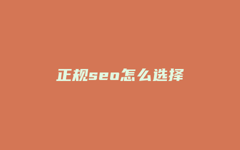 正规seo怎么选择