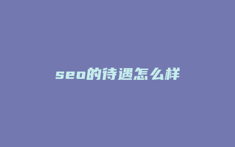 seo的待遇怎么样