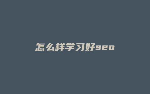 怎么样学习好seo