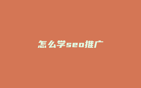 怎么学seo推广