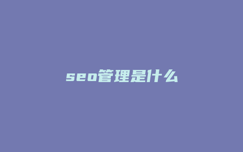 seo管理是什么